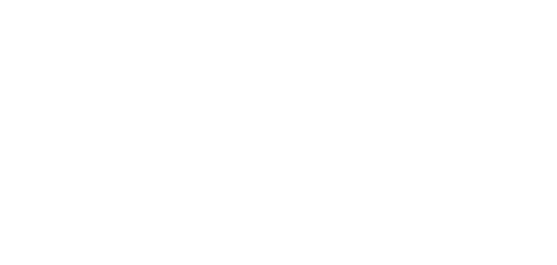 Bicomix